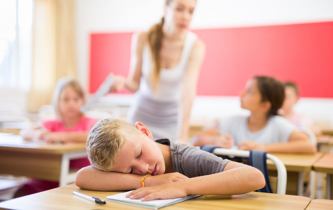 self regulation is not just sensory: picture shows sleepy boy at school with head on his desk