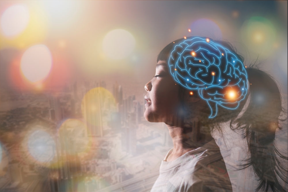 What is the Polyvagal Theory?