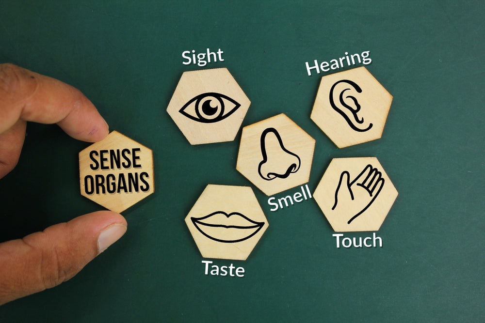 hexagons with icons of the senses
