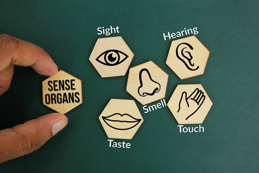 hexagons with icons of the senses